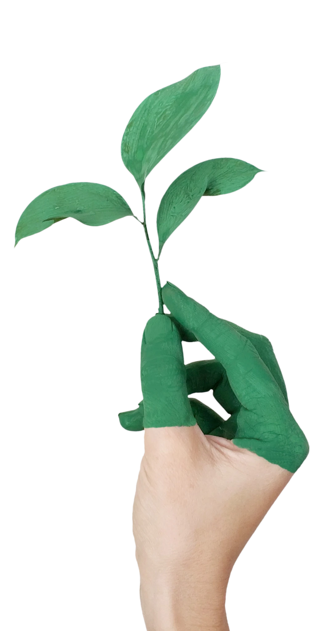 Leaf-hand