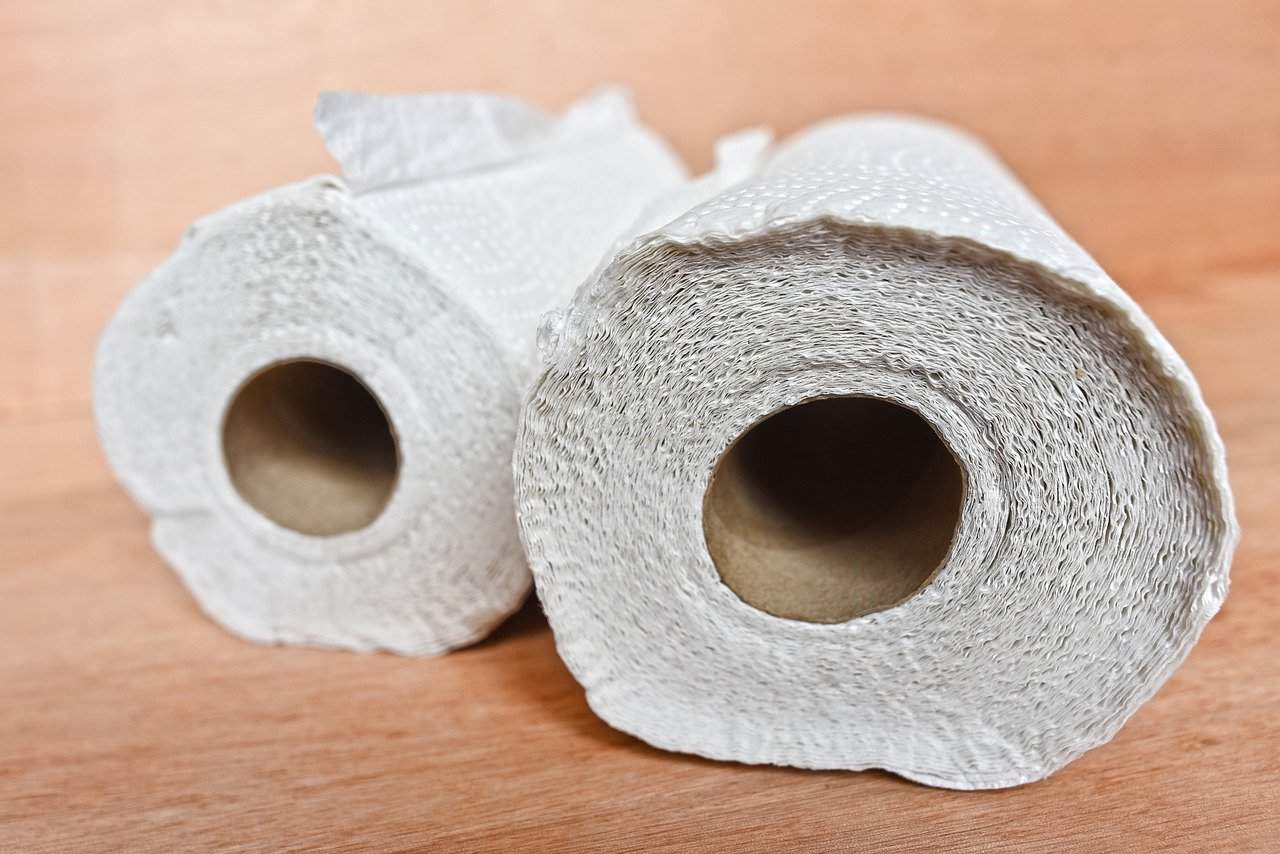 Quando comprar papel higiénico, use este truque simples: o rolo durará muito mais tempo!