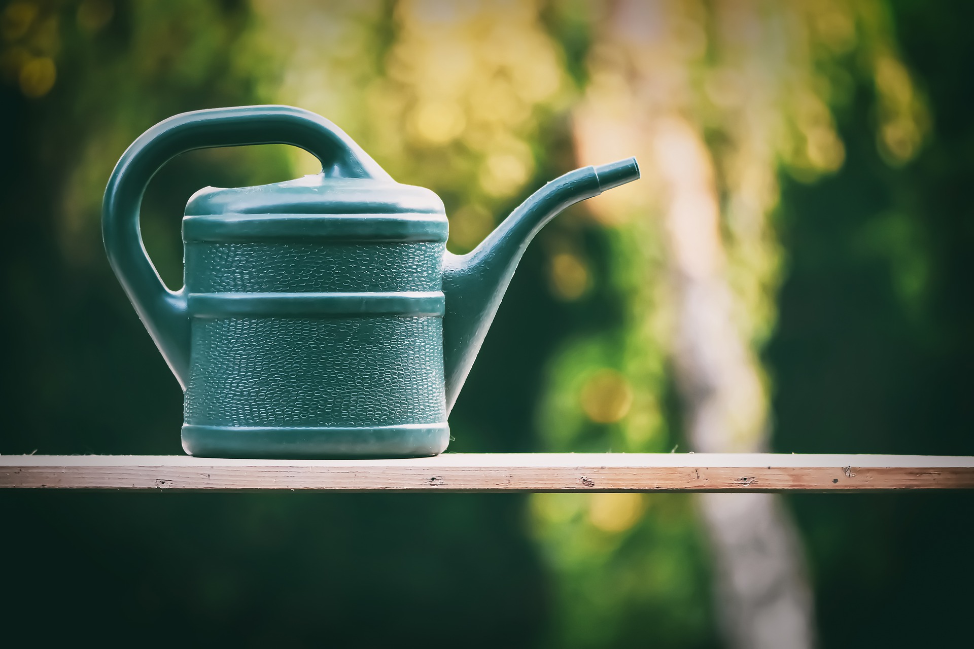 Los jardineros están entusiasmados: compran refrescos por cartones, ¡la razón es sencillamente asombrosa!